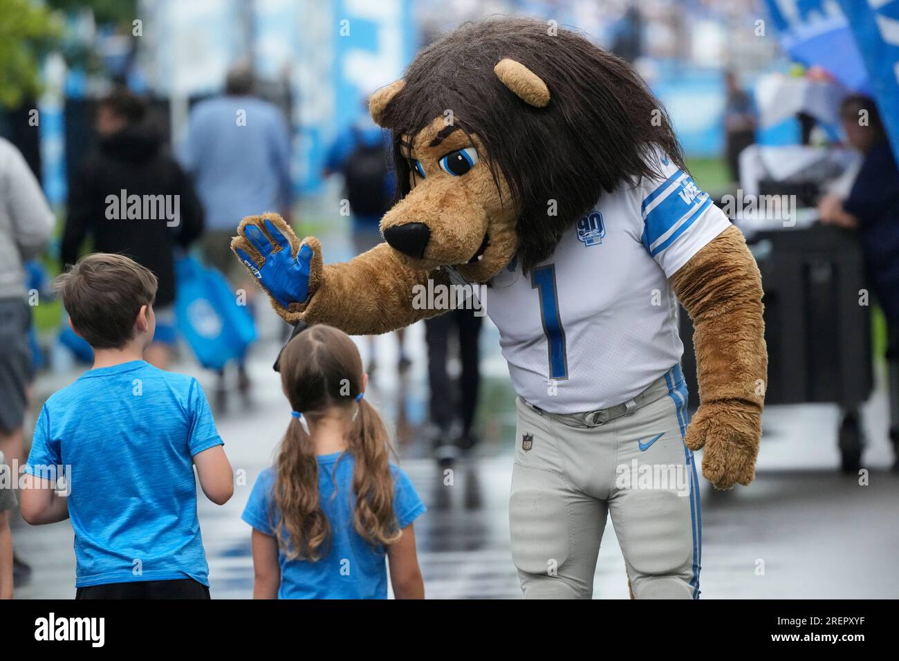 Roary, the Detroit Lions mascot, greets fans as they arrive for an NFL  football practice, Saturday, July 29, 2023, in Allen Park, Mich. (AP  Photo/Carlos Osorio Stock Photo - Alamy