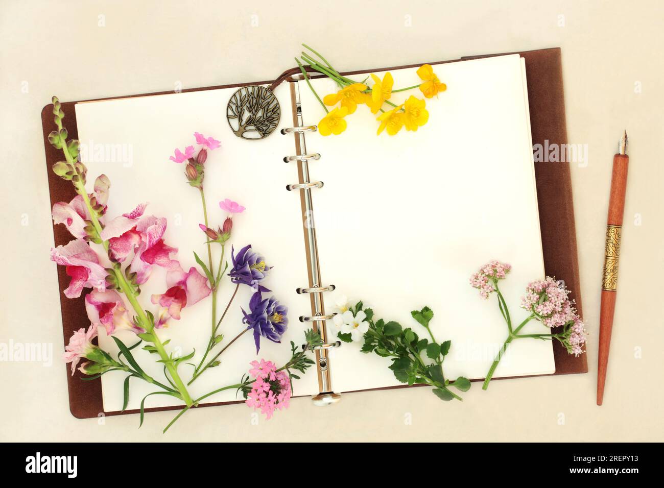 Flowers herbs and wildflowers with notebook and ink pen. Used in aromatherapy and natural herbal medicine  for alternative remedies on hemp paper. Stock Photo