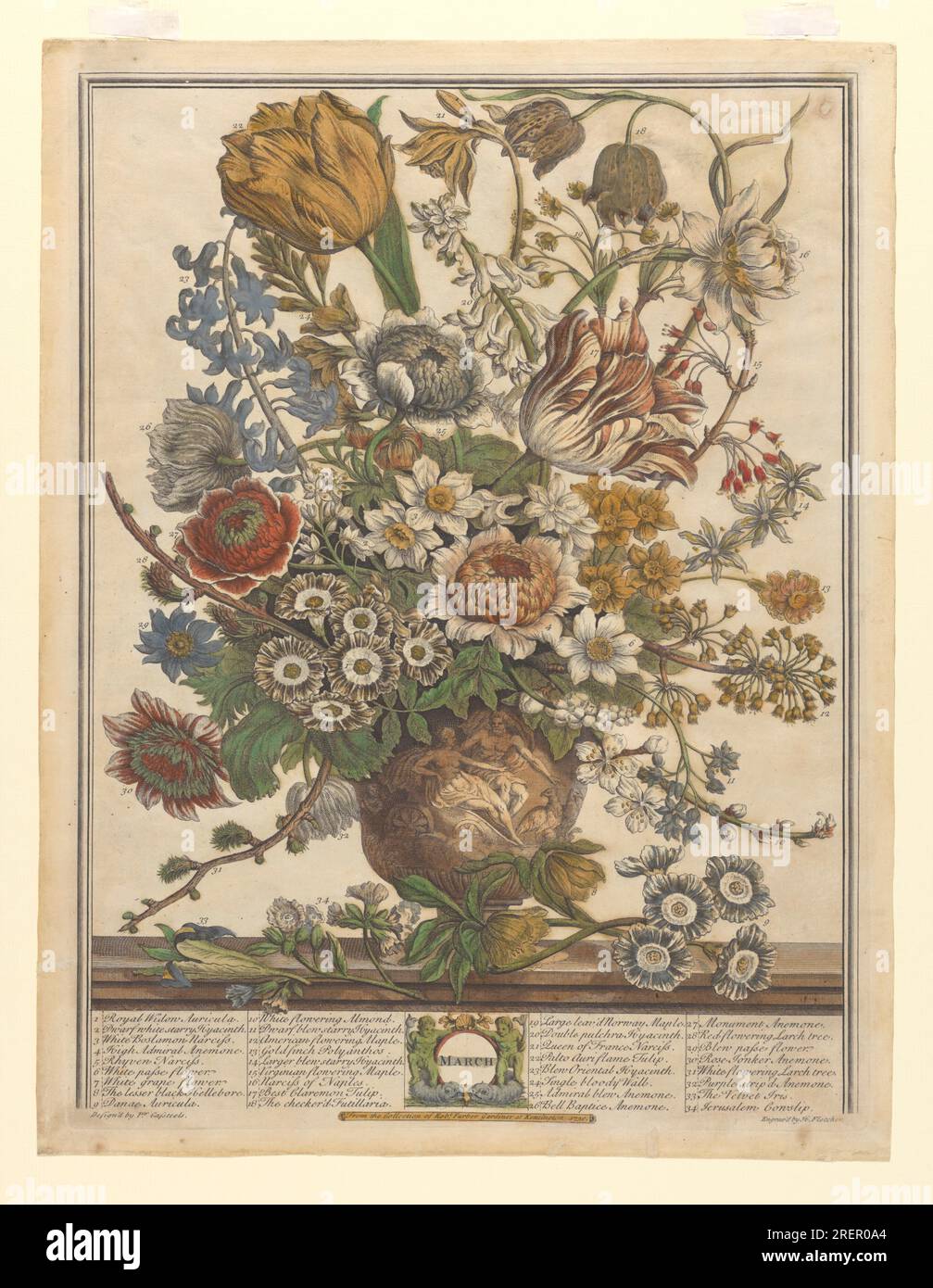 The Twelve Months of Flowers: March 1730 by Henry Fletcher Stock Photo ...
