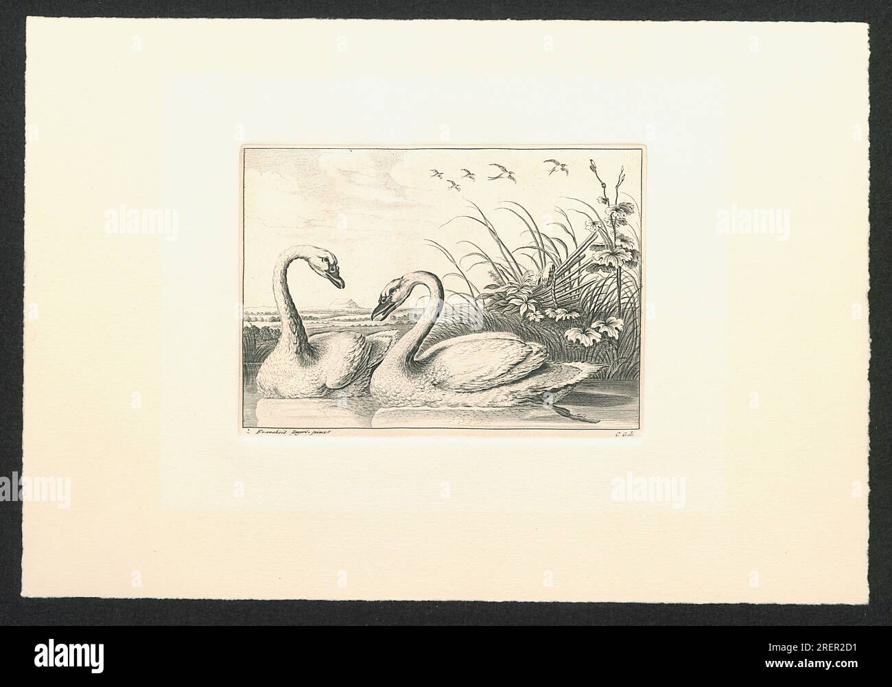 Cornelis galle hires stock photography and images Alamy