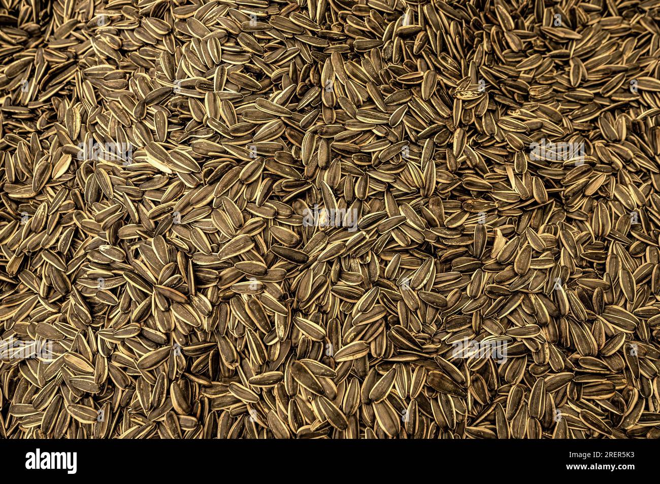 Closeup view of roasted sunflower seeds. Turkish seeds background Stock Photo Alamy