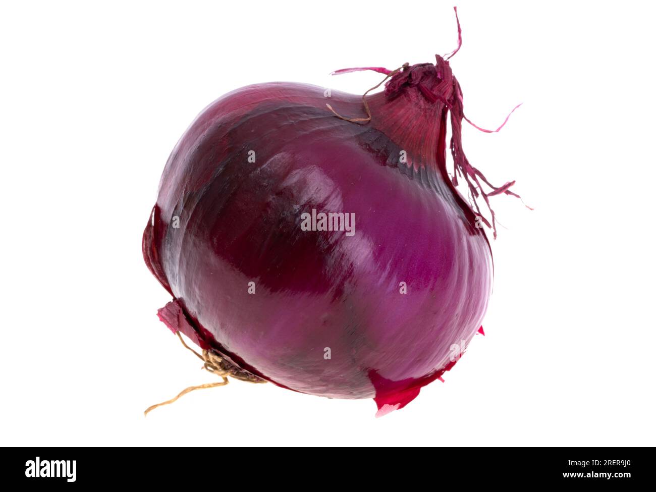 onion isolated on white background Stock Photo - Alamy