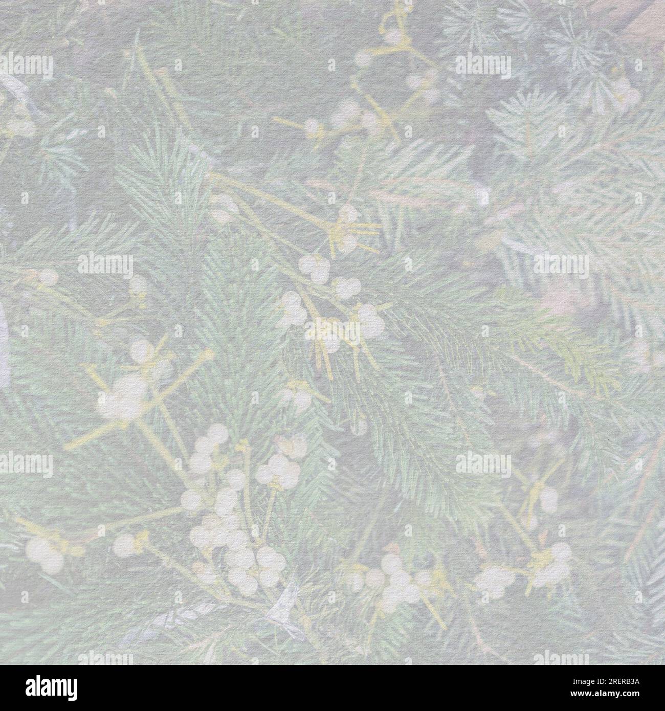 Photos of flowers with a superimposed texture on top. Wallpaper. Square