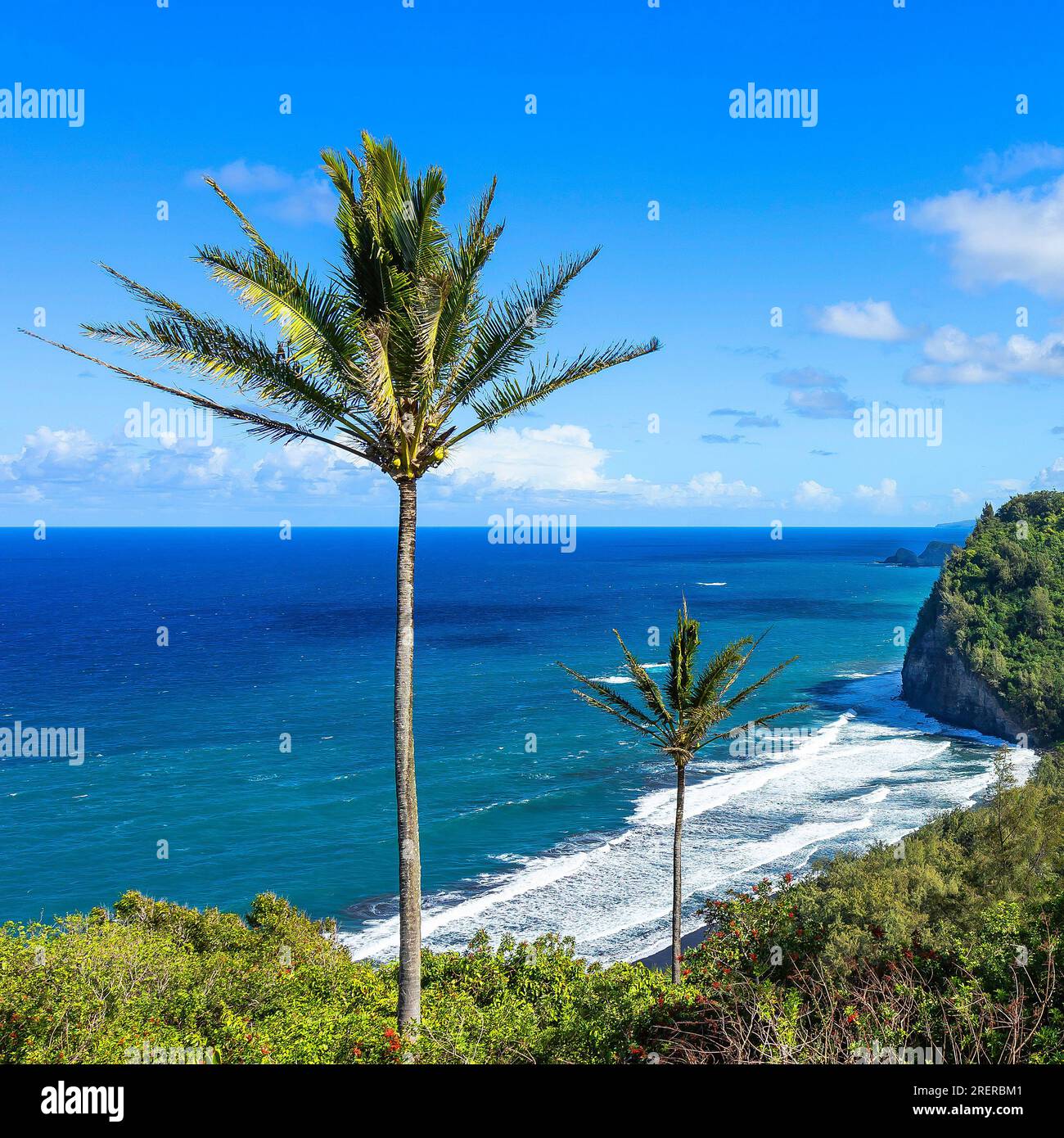  Pololu valley lookout hawaii island hi-res stock photography and images Bildidee 