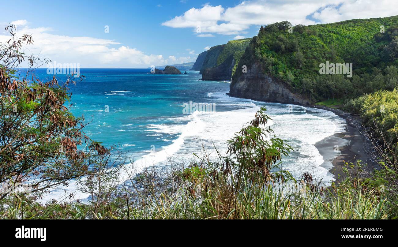  Pololu valley lookout hawaii island hi-res stock photography and images Illustration 