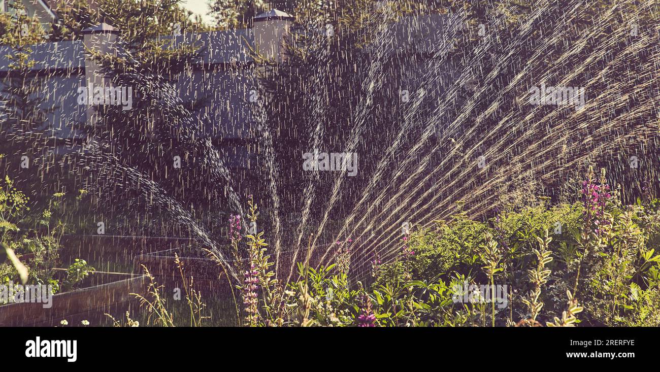Banner. Fan irrigation system with a sprayer in the garden on a sunny summer day. Sprinkler system for watering plants. The concept of gardening, growing and caring for plants. High quality photo Stock Photo