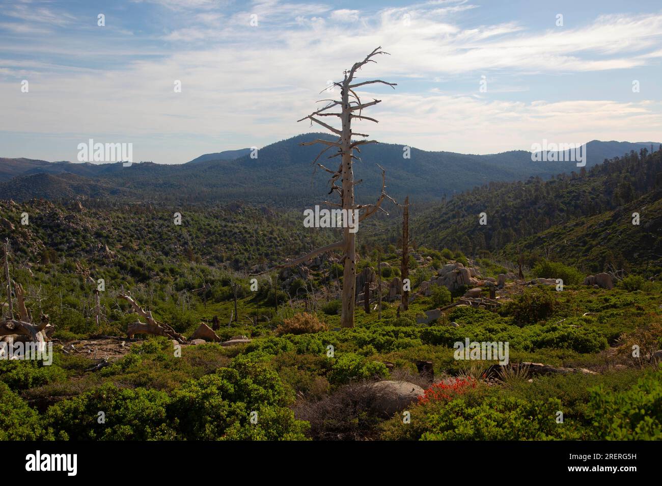 City News | Fullerton, CA, image size:1300x954