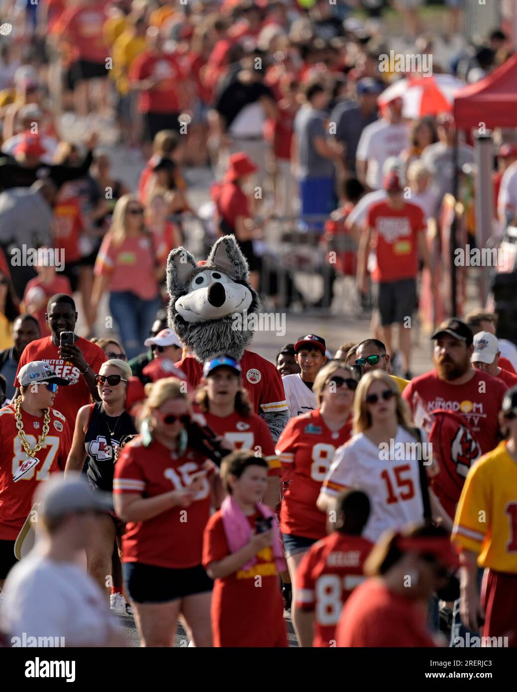 Kansas City Chiefs mascot KC Wolf walks among the crowd during NFL football  training camp Saturday, July 29, 2023, in St. Joseph, Mo. (AP Photo/Charlie  Riedel Stock Photo - Alamy