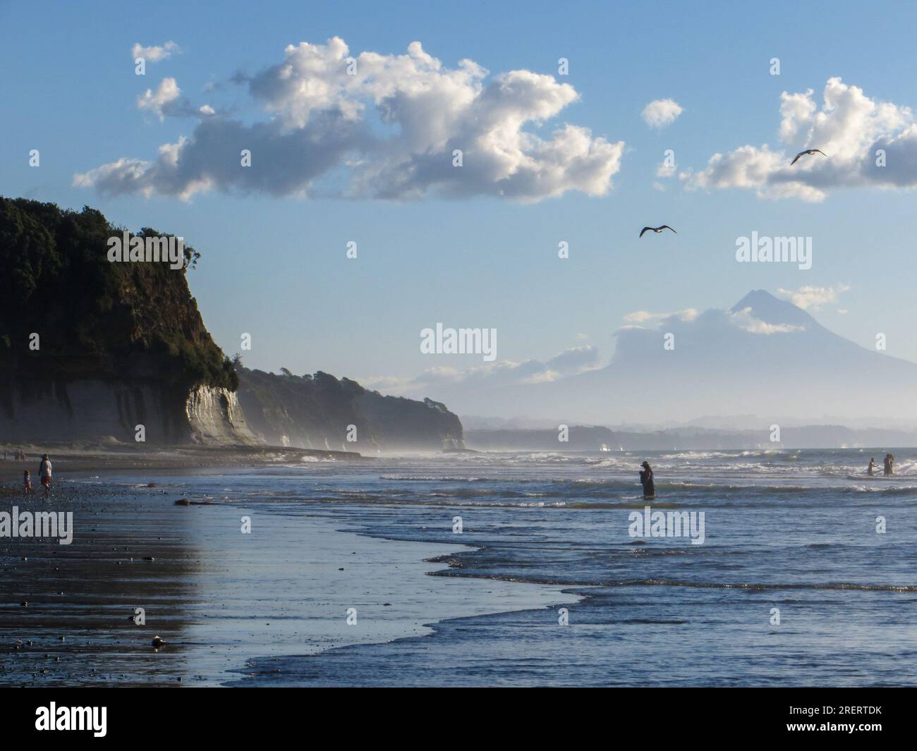 Cliffs at Waiiti Beach on the Tasman Sea in New Zealand with seagulls, people going for a swim and the silhouette of Mt Taranaki in the background Stock Photo