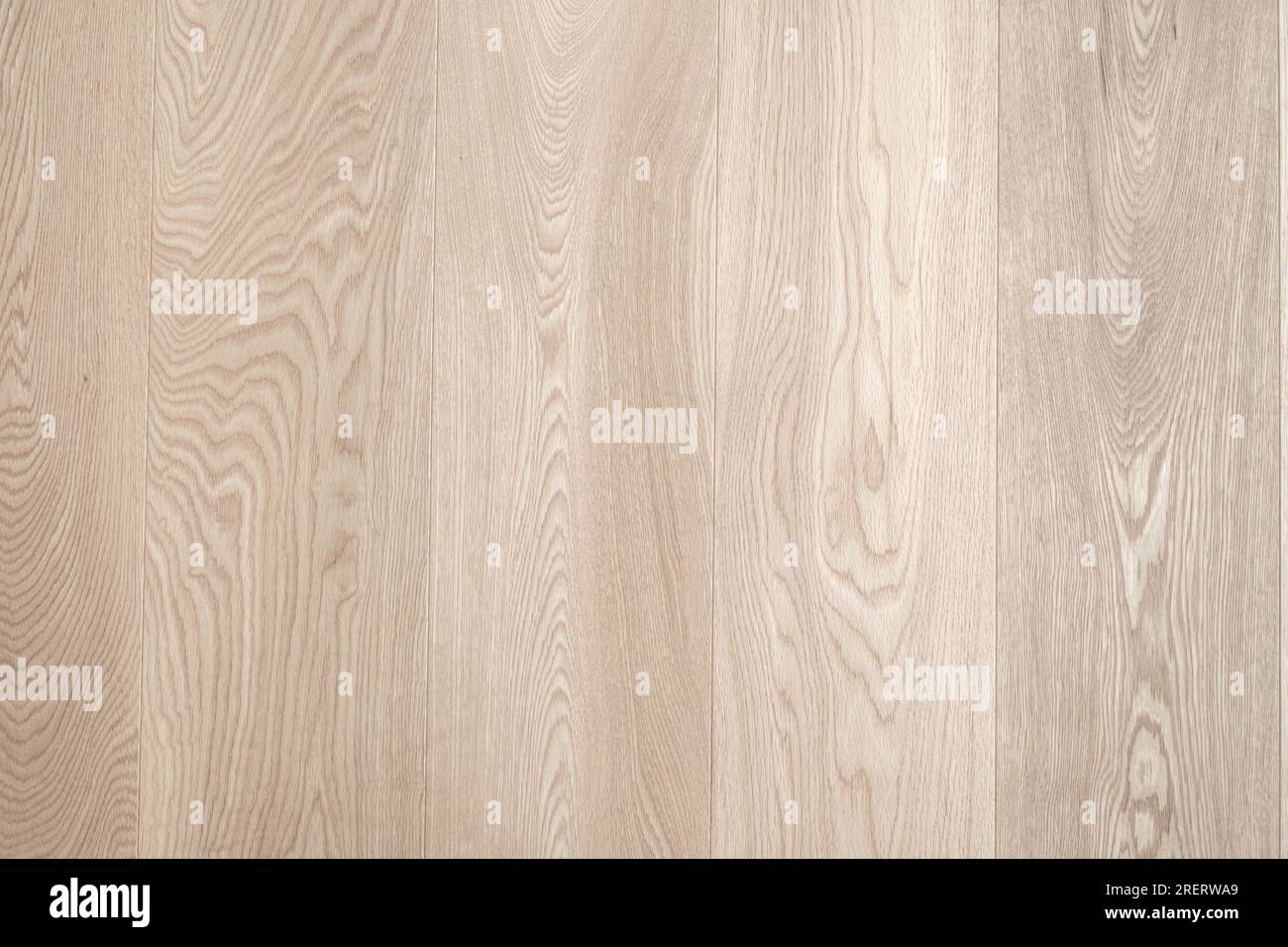 bleached, white parquet floor, bright wooden floor Stock Photo