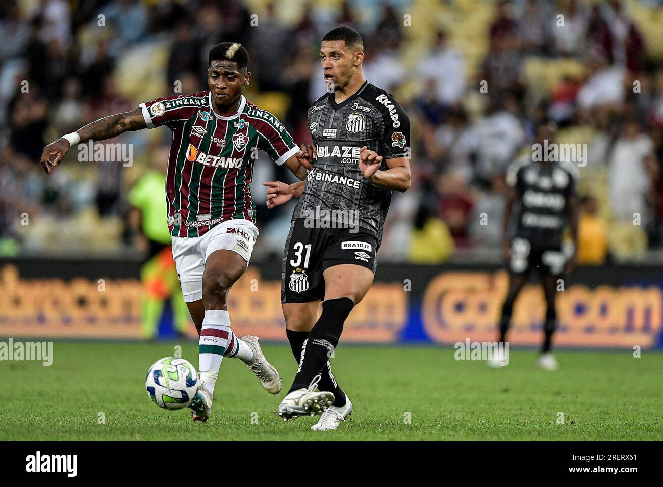 Brazilian Football League Serie A - Brasileirao Assai 2019 / ( Fluminense  Football Club ) - Yony Andres Gonzalez Copete Stock Photo - Alamy