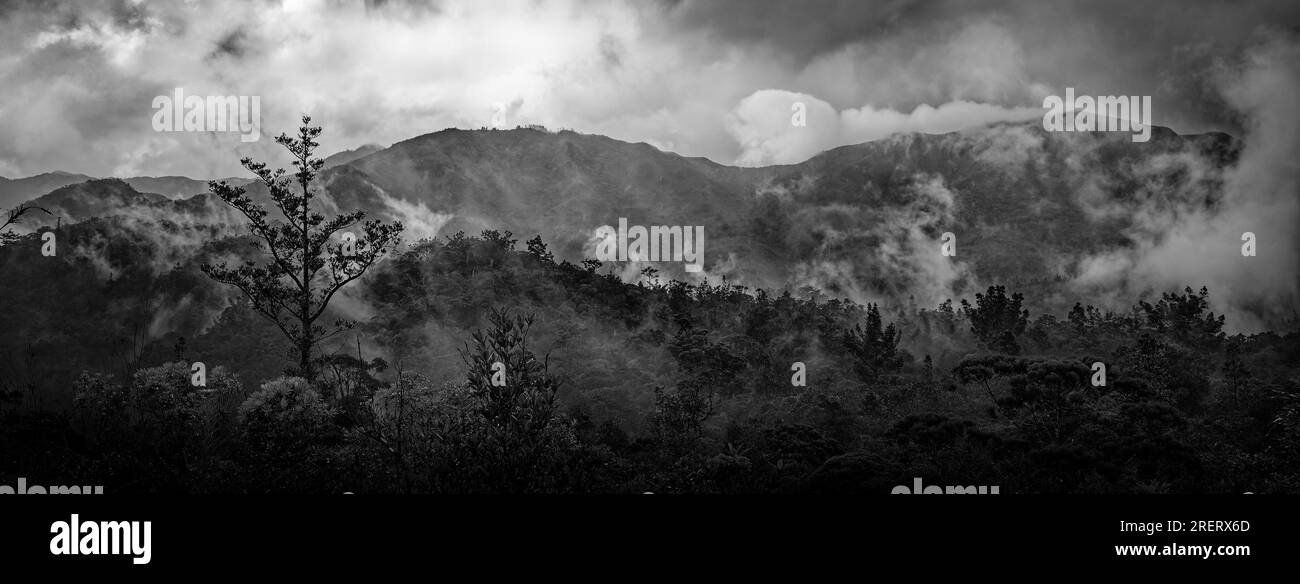 Maquis shrubland Black and White Stock Photos & Images - Alamy