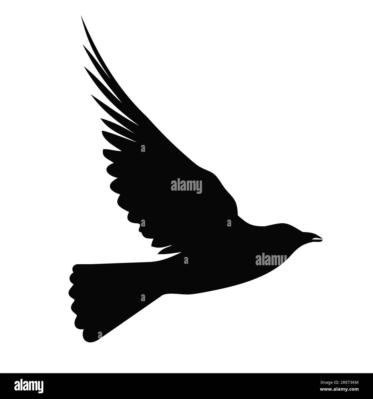 Black bird silhouette isolated on white background. Flying bird. Vector ...