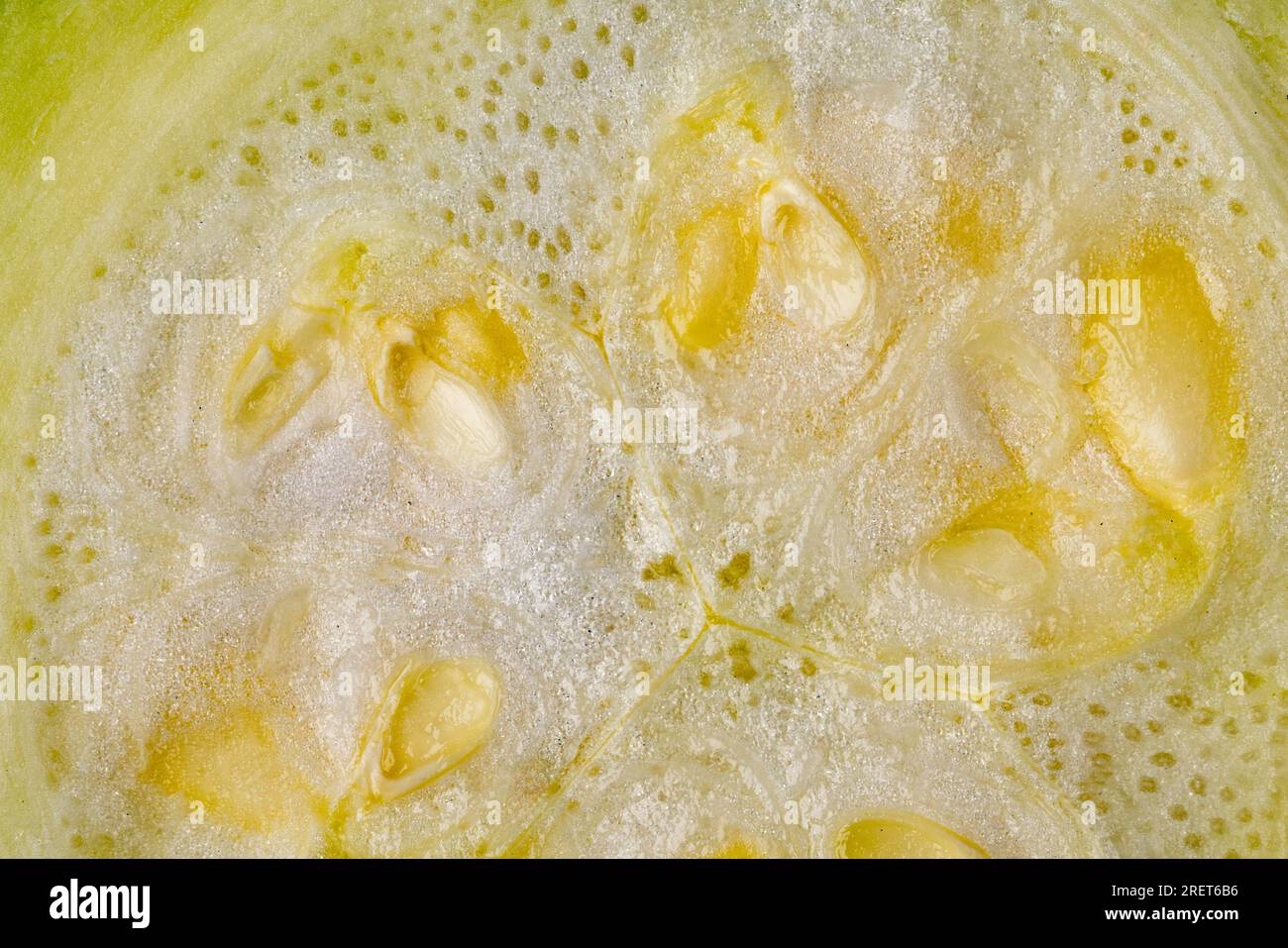 Macro image of a sliced courgette (Cucurbita pepo) Stock Photo