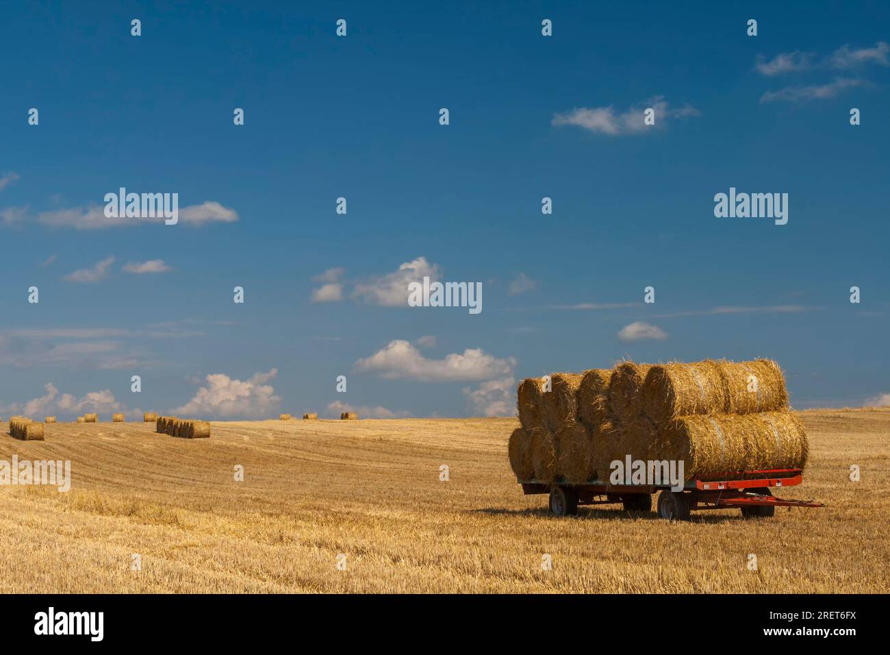 Straw bales on a stubble field Stock Photo - Alamy