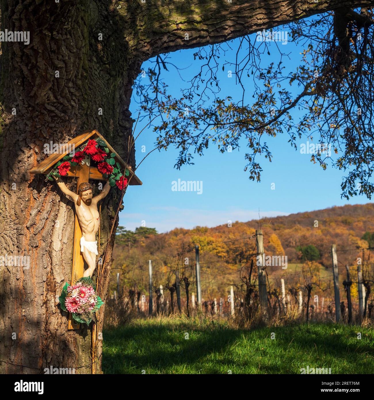Christus am Kreuz an einem Baum in den Weingaerten im Burgenland Stock Photo