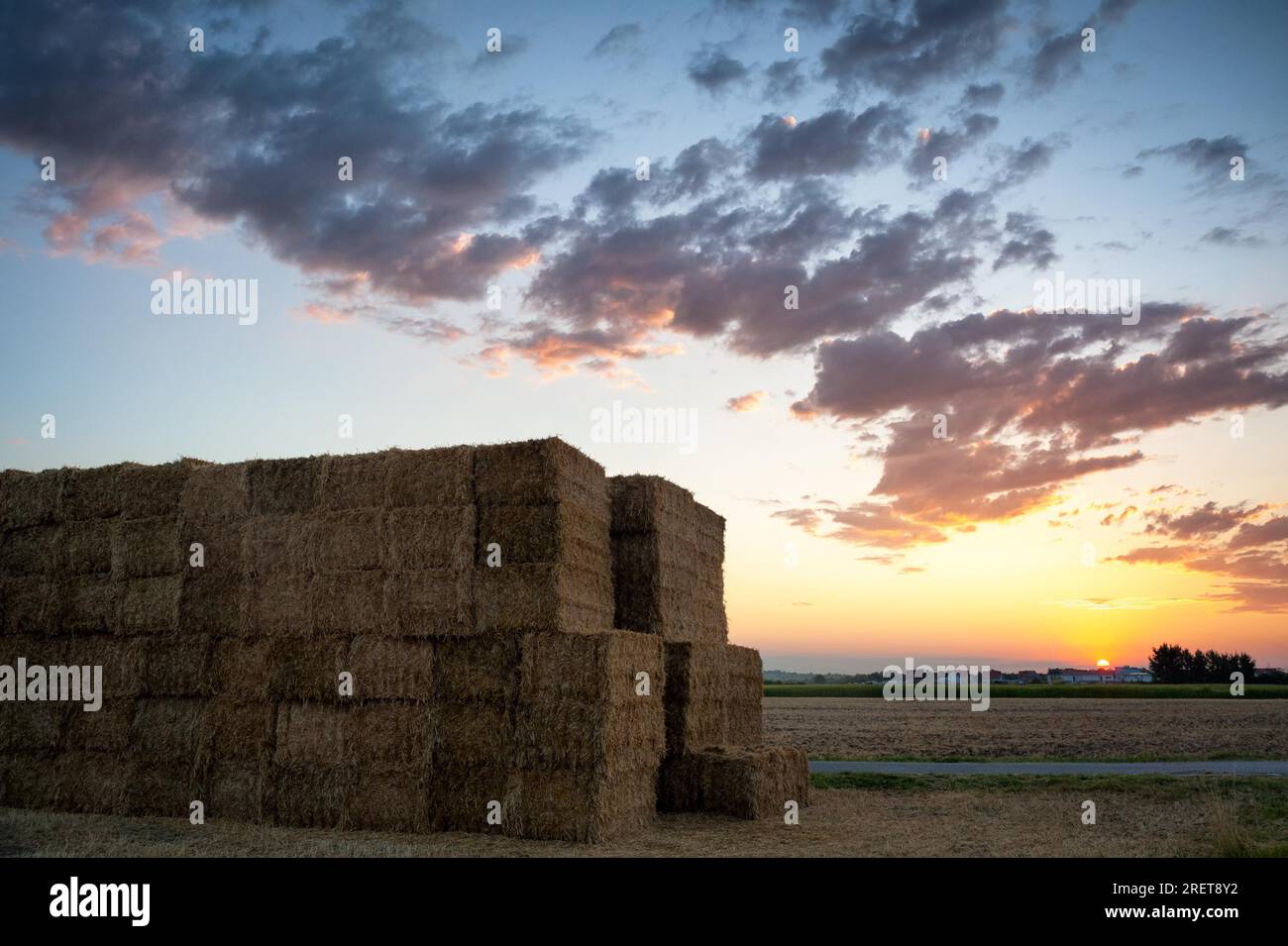 Cow bedding hi-res stock photography and images - Alamy