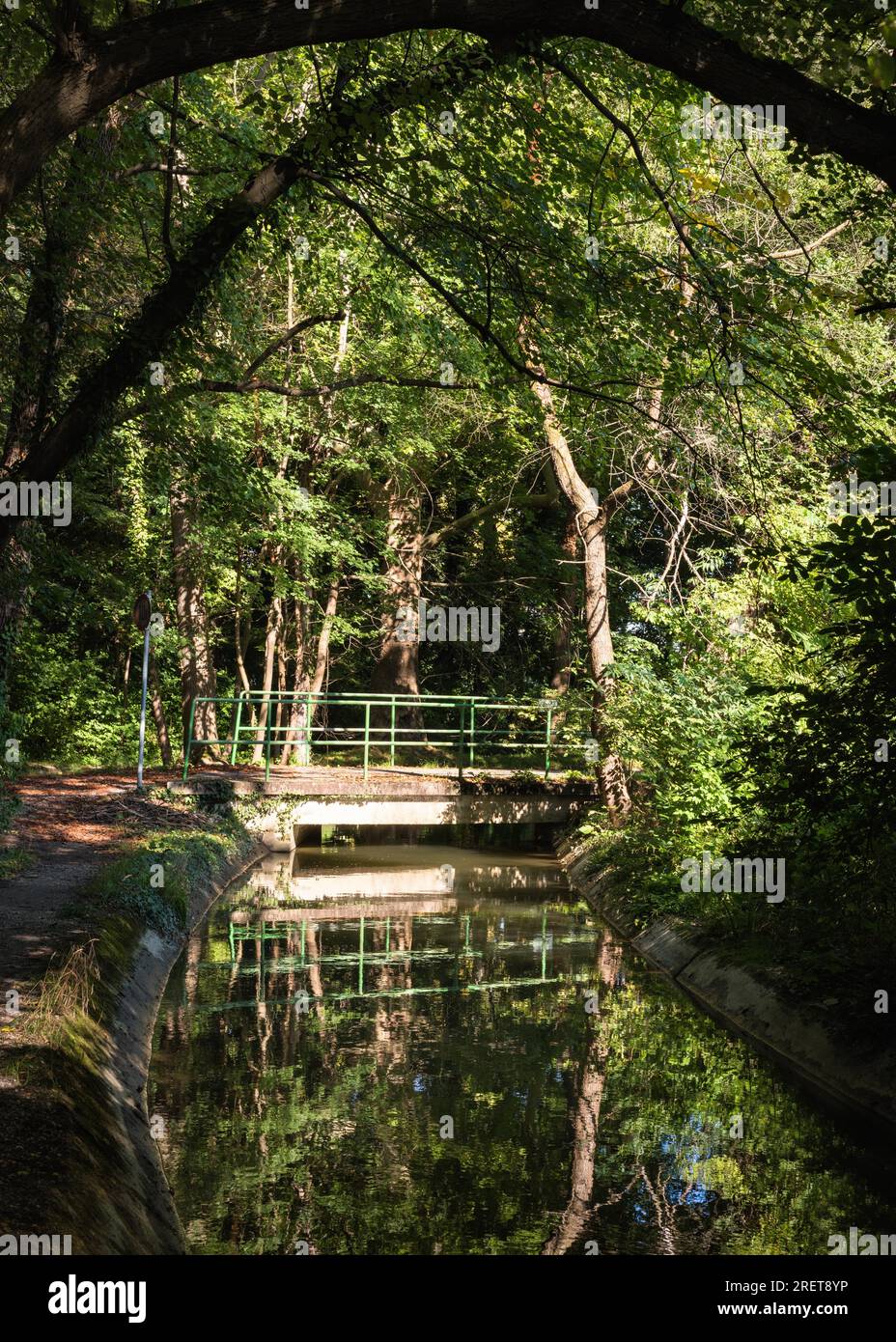 Canal with small bridge in forest Stock Photo