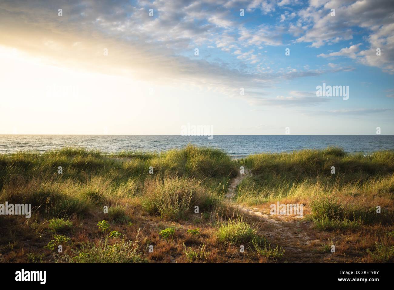 A beautiful sand dunes near the beach during sunrise Stock Photo