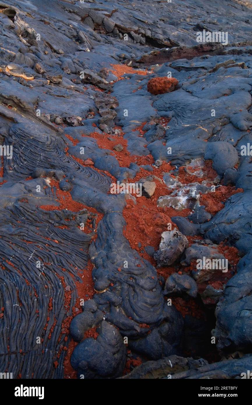 Cooled pahoehoe lava, Santiago Island, Galapagos Islands, Ecuador Stock Photo