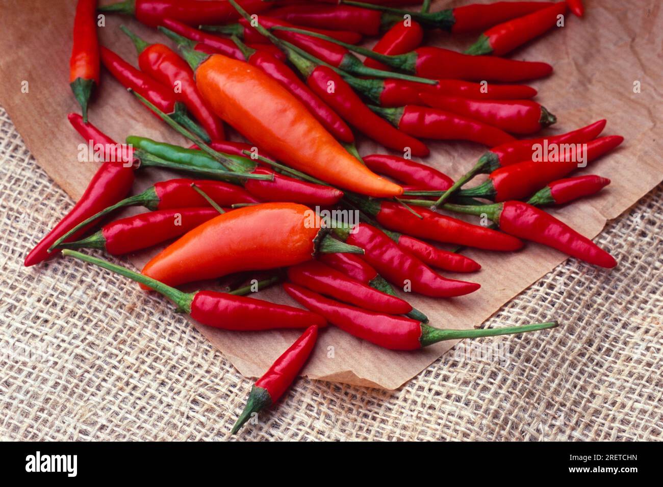 Peppers, chili pepper, chili pepper, chili pepper, chili pepper