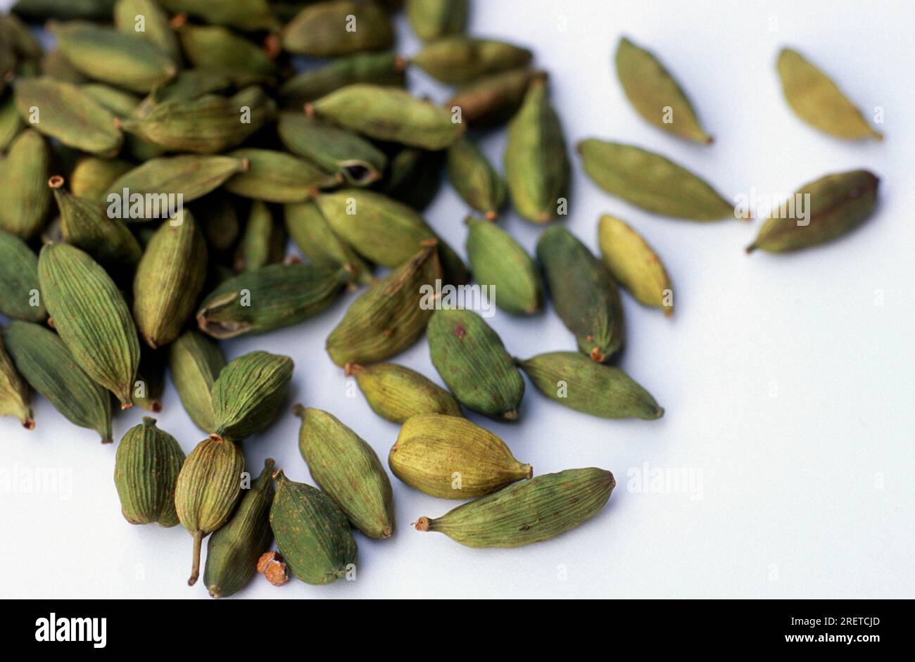 Cardamom (Elettaria cardamomum), Seed capsules, Seed capsule Stock Photo