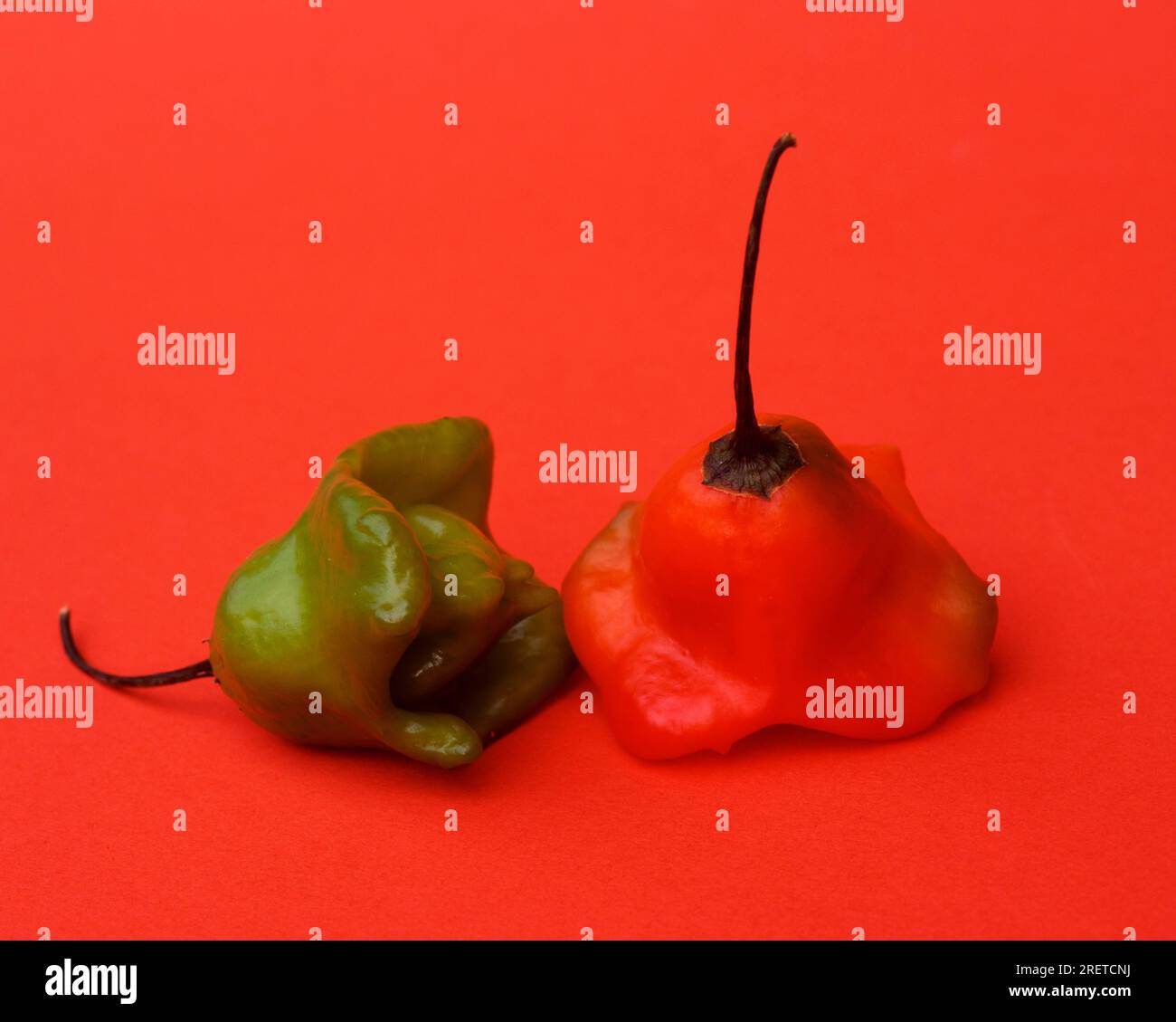 Chiles, chilies, chillies, peppers, chillies Stock Photo