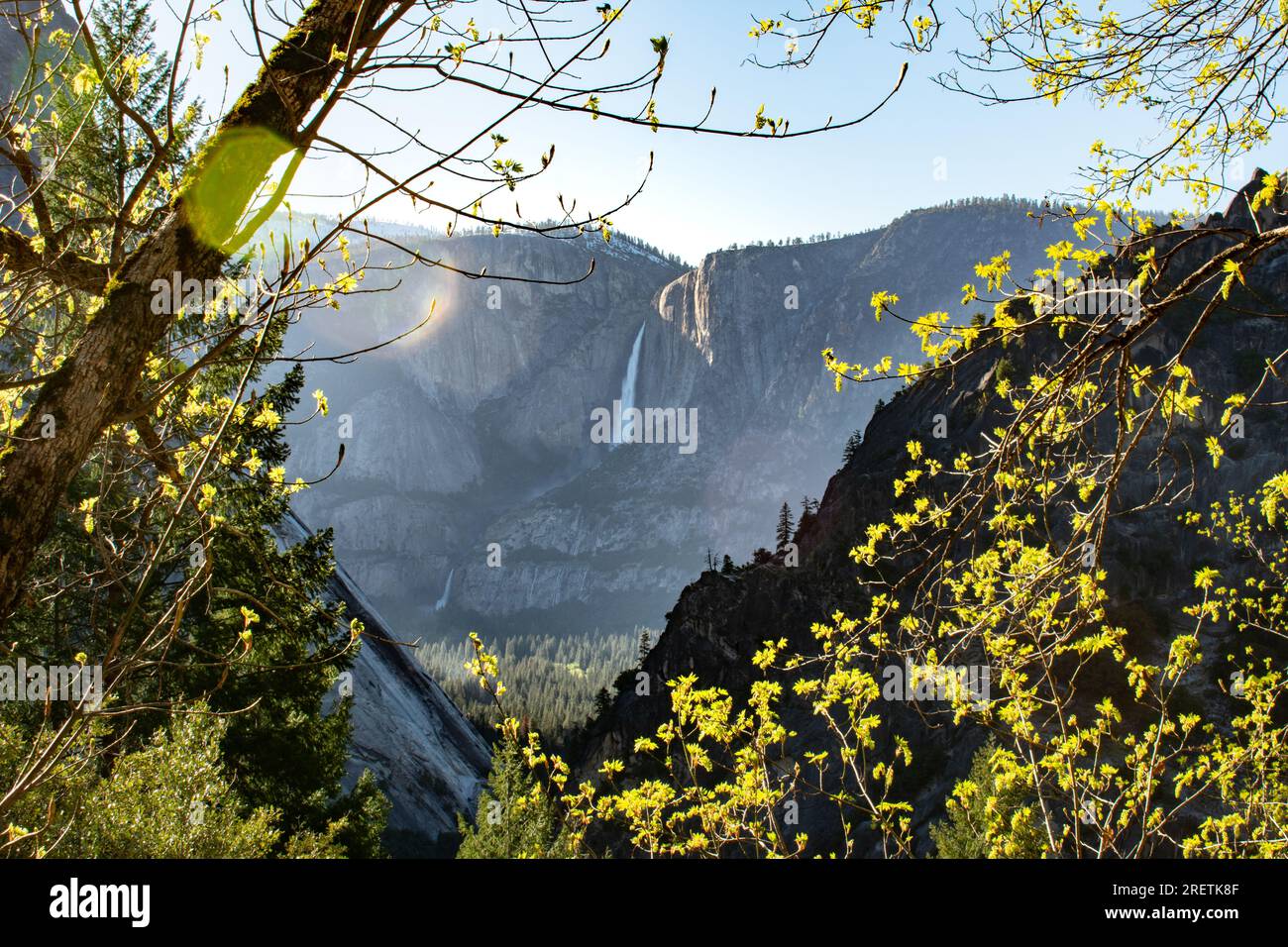 Spring's touch on Yosemite, seen from the John Muir Trail with a sun-kissed glow. Stock Photo