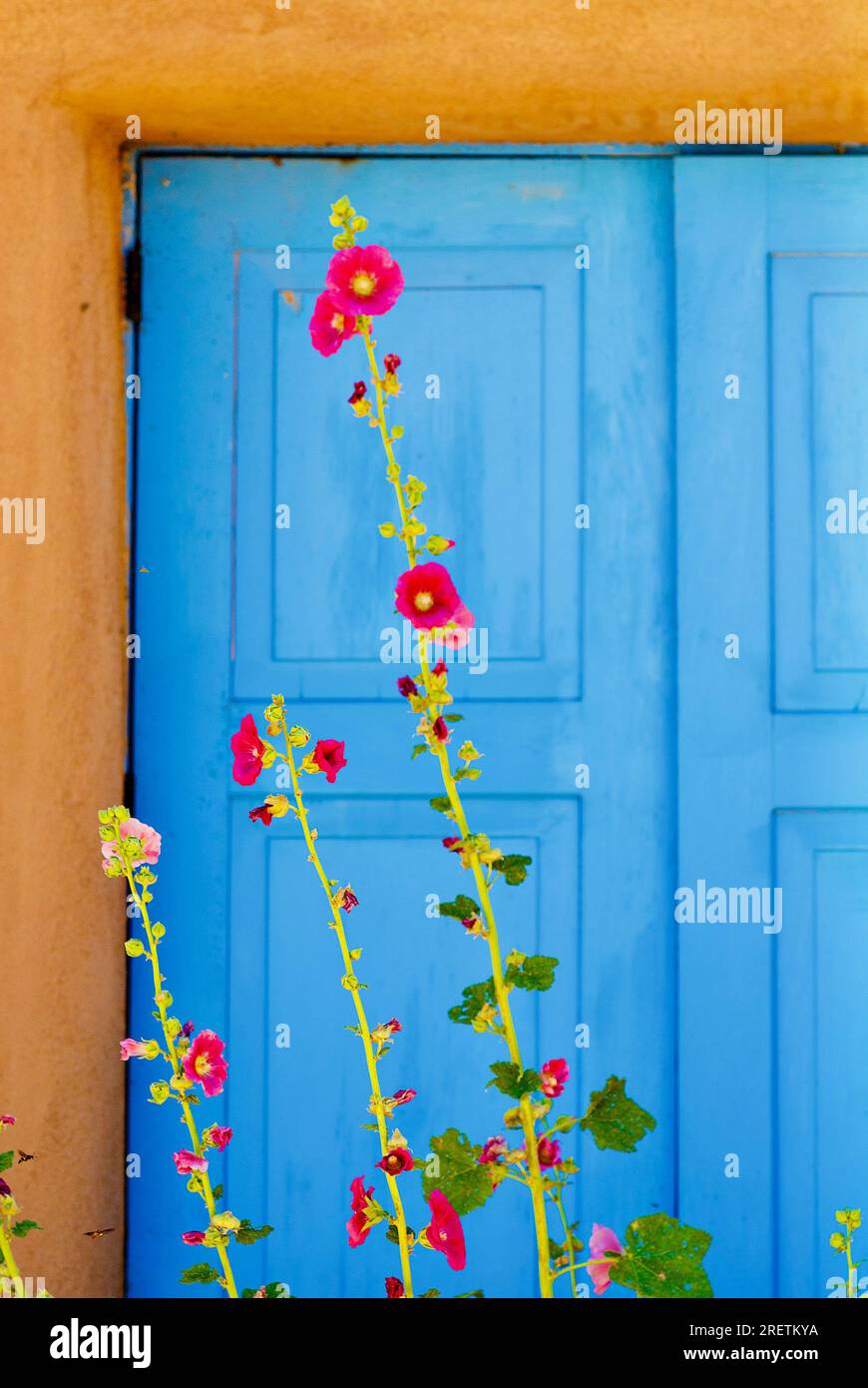 Ranchos de Taos, New Mexico, USA - July 23, 2023: Red flowers contrast against the blue-painted wood doors of a traditional, southwestern adobe home. Stock Photo
