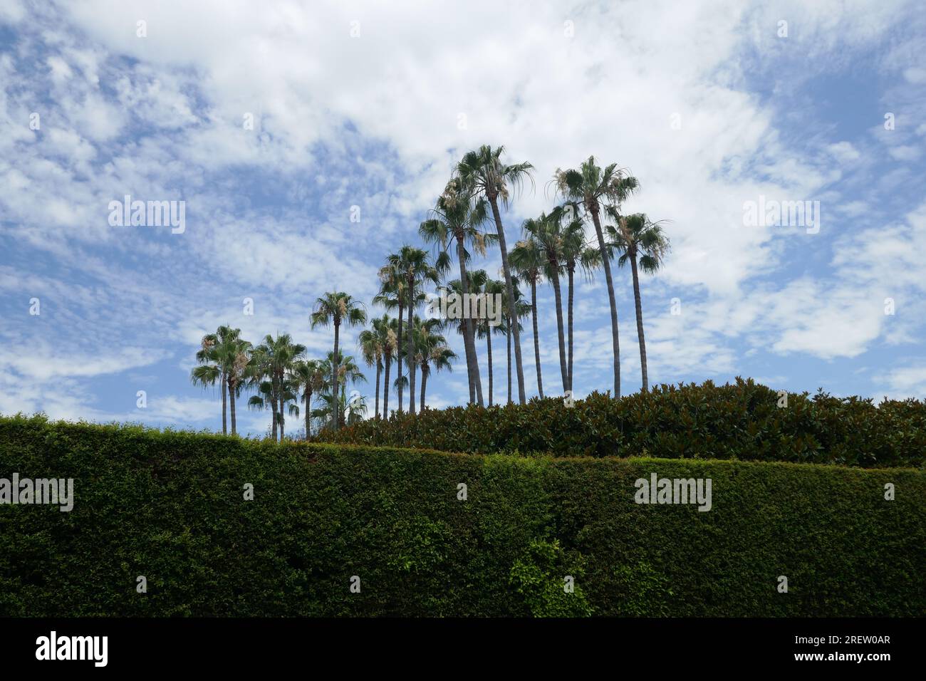 Los Angeles, California, USA 29th July 2023 Producer Harry Cohn, Musician Tommy Dorsey, Actor Steve Martin, Actress Mary Boland, Actress Bernadette Peters, Actress Joan Perry, Director Edward Sutherland, Actress Carol Landis, Actor Paul Lukas, Actress Georgia Hale, Bandleader Kay Kyser, Actor Victor Moore Former Home/house at 1220 Sunset Plaza Drive on July 29, 2023 in Los Angeles, California, USA. Photo by Barry King/Alamy Stock Photo Stock Photo