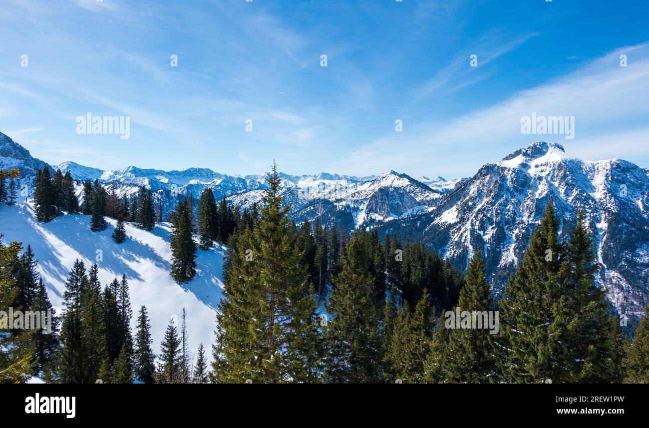 Fir trees standing on a snow-covered mountain side with a view of majestic mountains in the German and Austrian Alps Stock Photo