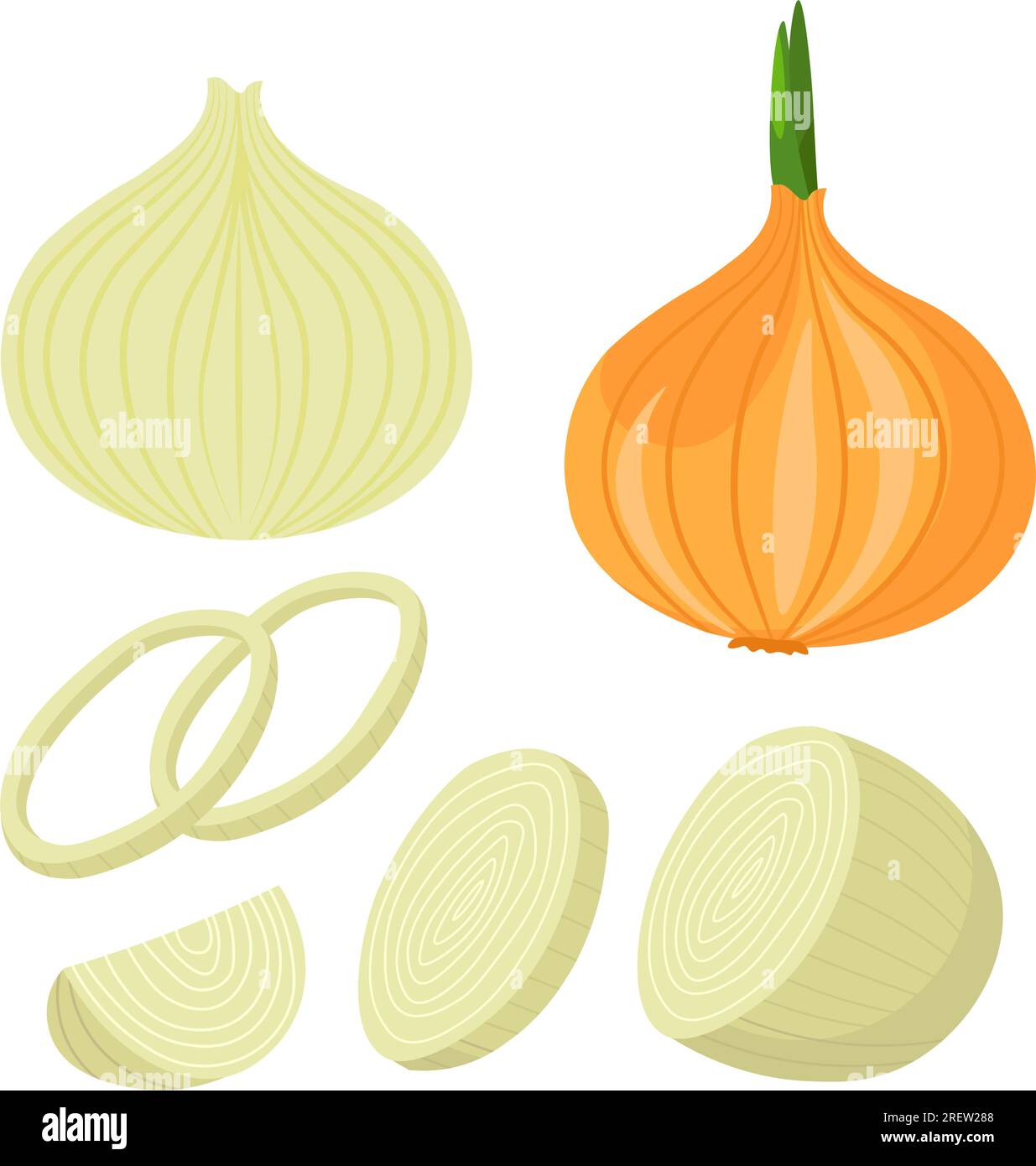 Onion ripe vegetable sliced, cooking dishes vector Stock Vector