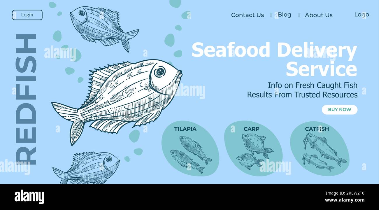 Seafood delivery service, variety of fish website Stock Vector Image