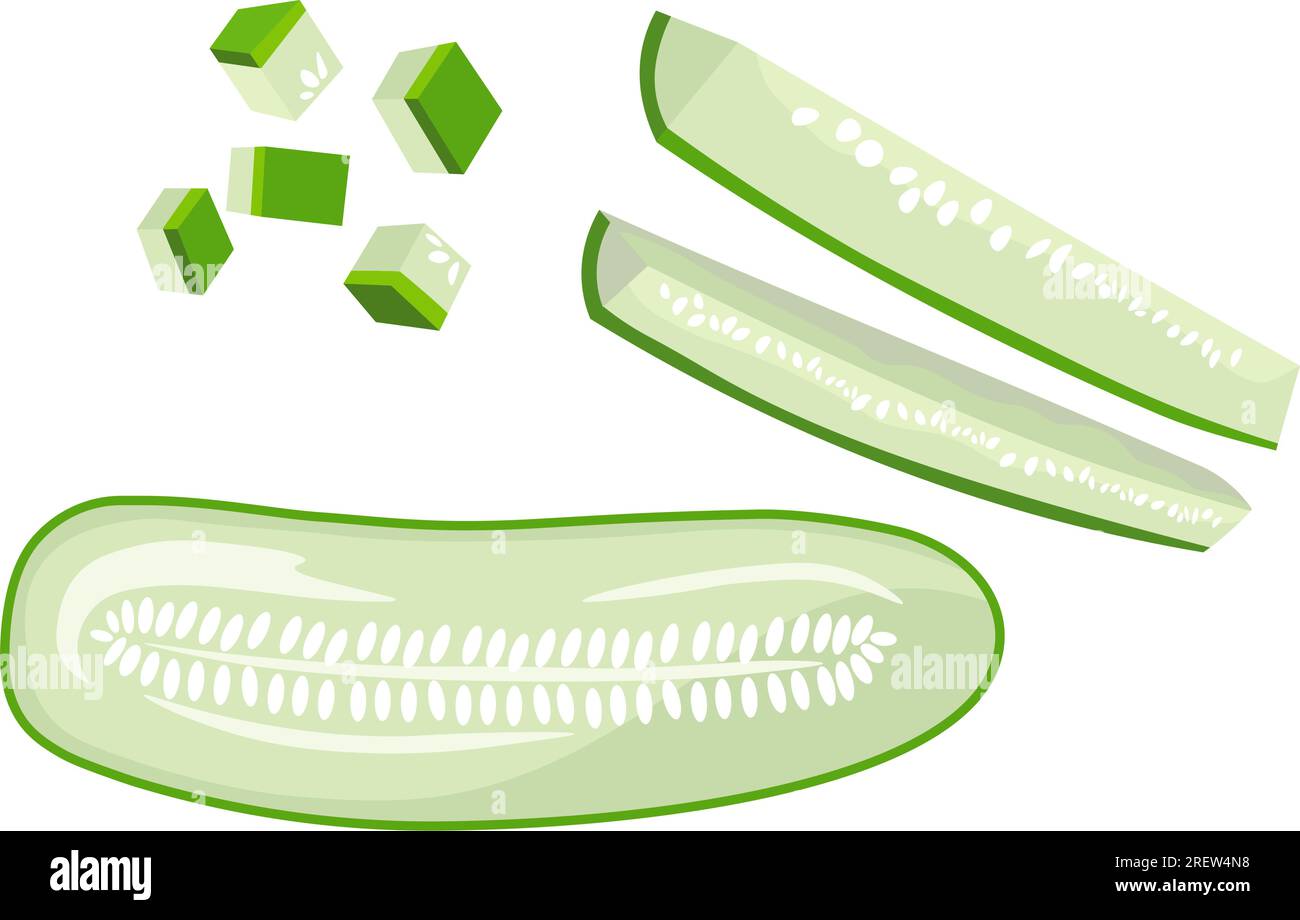 Chopped cucumber into pieces, salad making vector Stock Vector