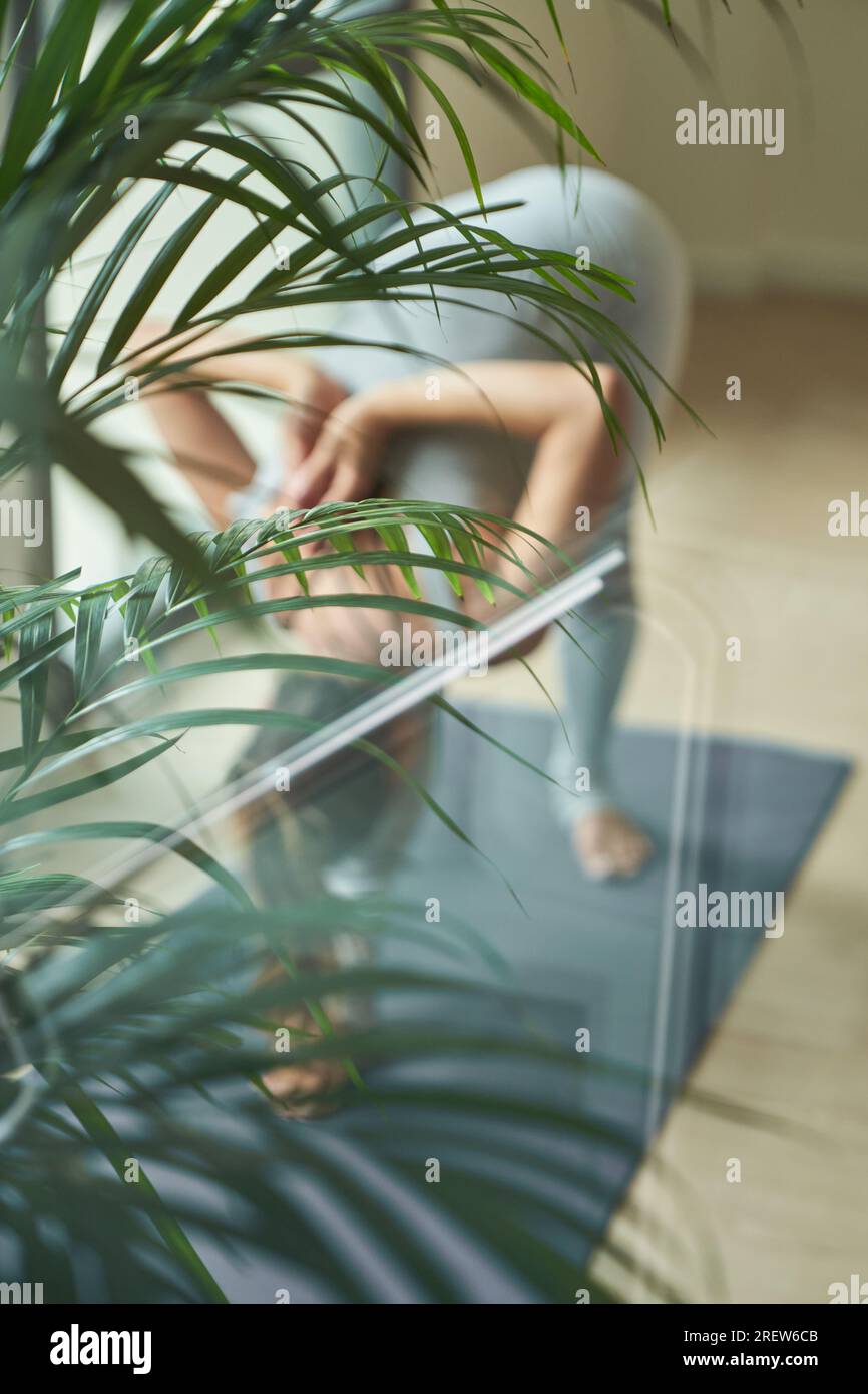 From above through glass view of full body crop anonymous woman practicing yoga in Pyramid pose on mat near green palm tree in studio Stock Photo