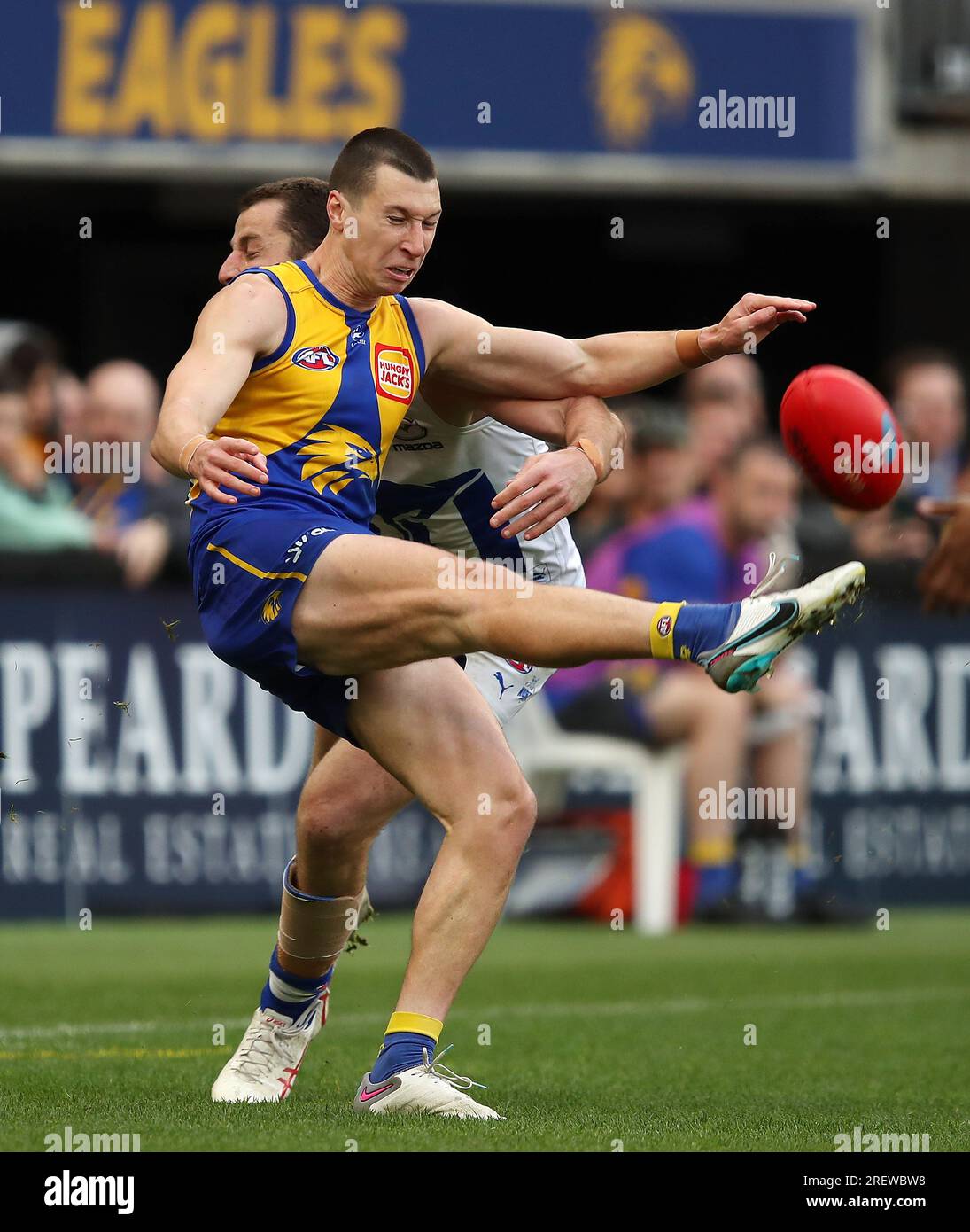 Perth, Australia. 30th July, 2023. Bailey Williams of the Eagles kicks ...
