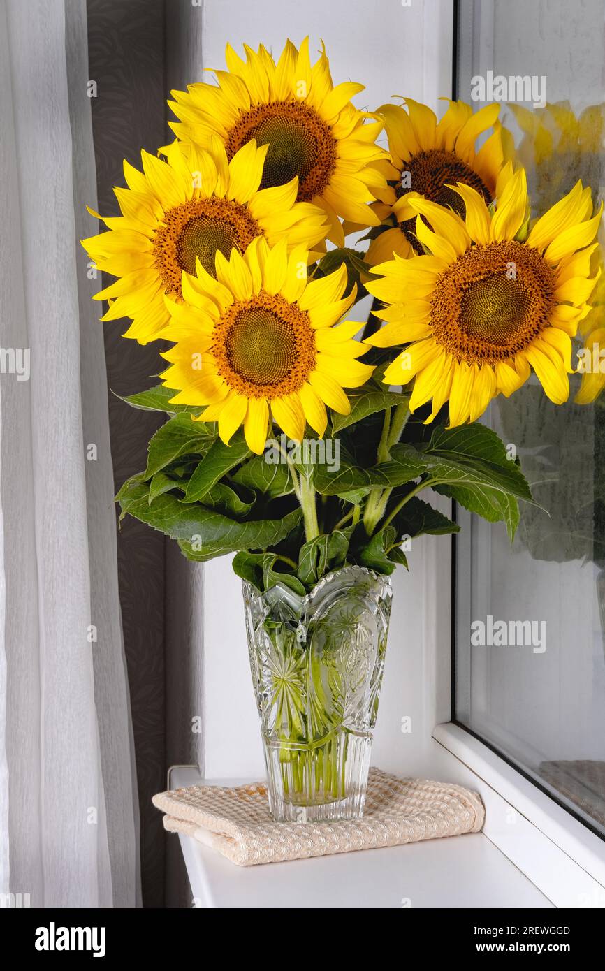 Still life with beautiful sunflowers bouquet in glass vase Stock Photo ...