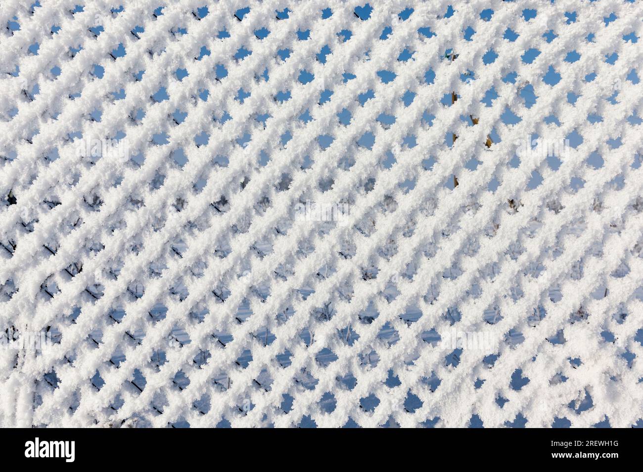 Netting too close hi-res stock photography and images - Alamy
