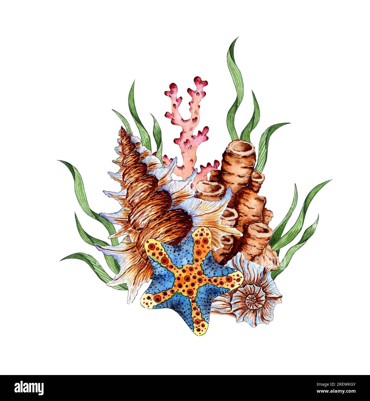 Watercolor composition of seaweed, seashells, coral and starfish