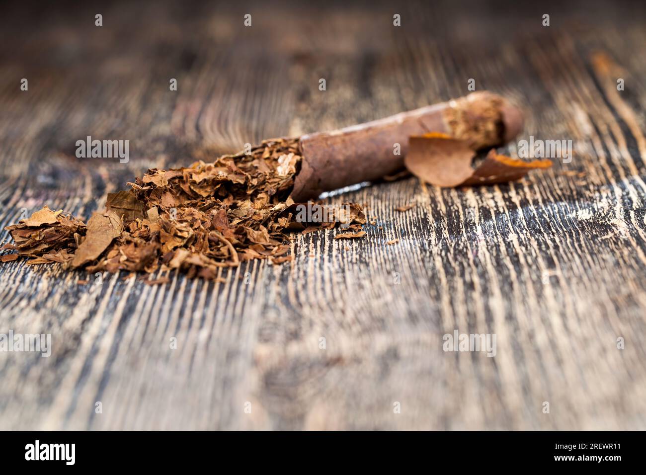 real tobacco from cigarettes, tobacco from broken and spoiled cigarettes,  causes nicotine addiction, tobacco from a crumbling cigarette on a  blackboar Stock Photo