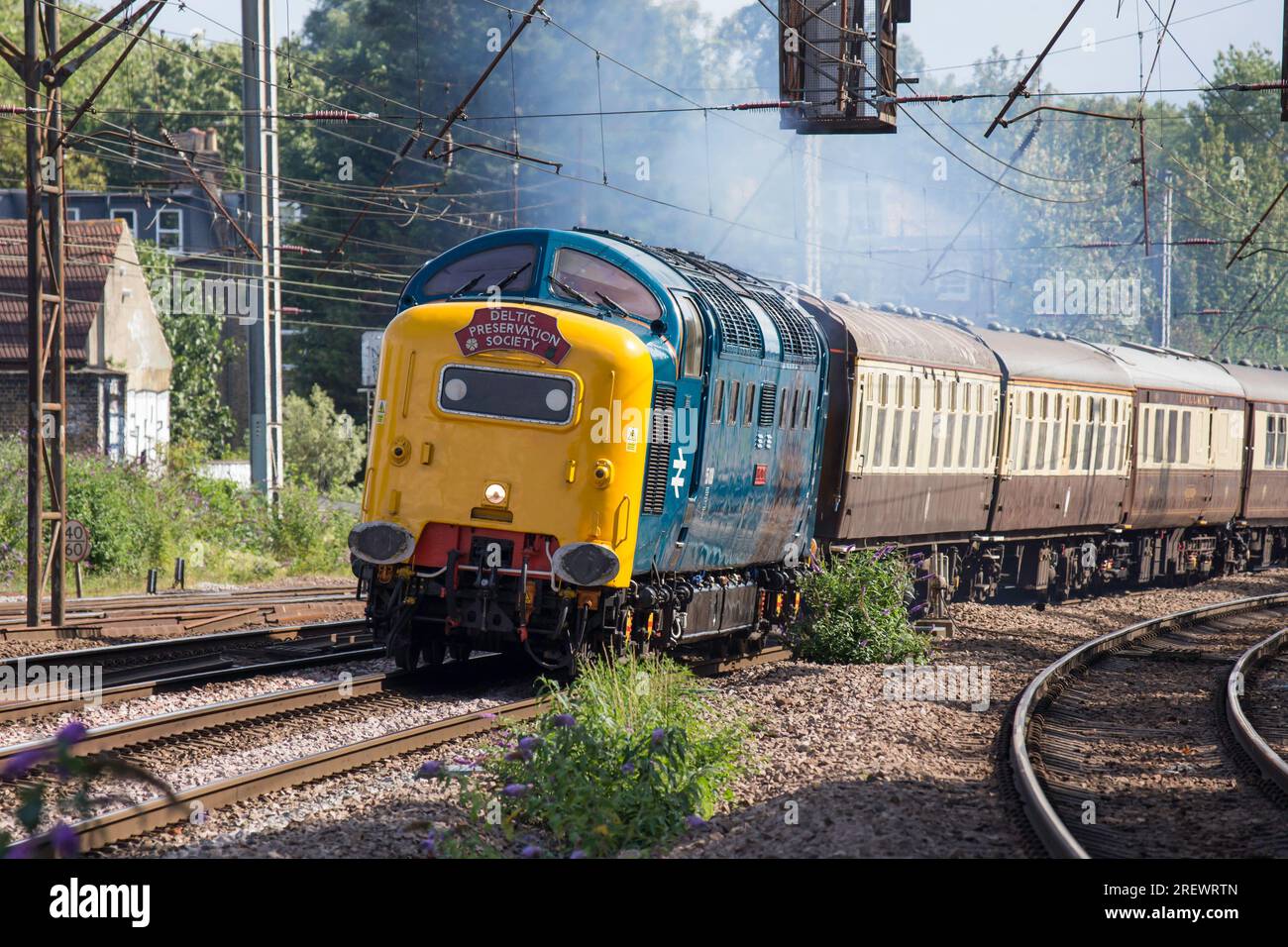 Deltic Preservation Society 55009 Alycidon at speed at Hornsey Station ...