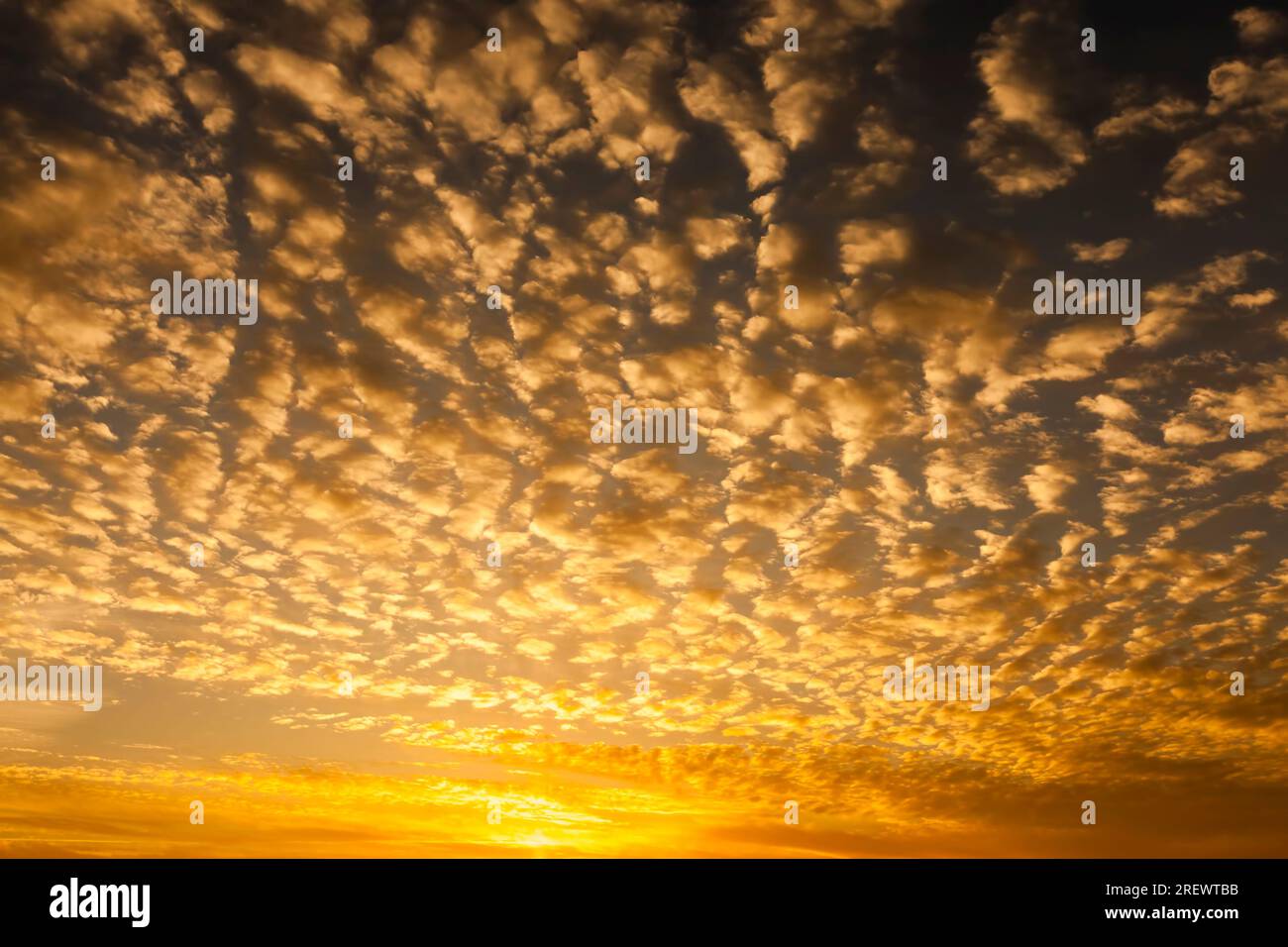 colorful yellow orange and other colors of the sky with clouds during ...