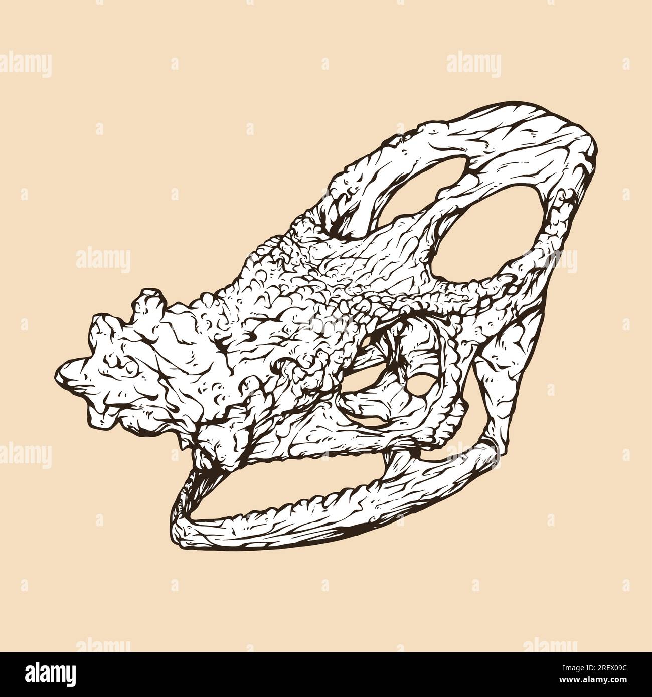 parson's chameleon skull head vector illustration Stock Vector