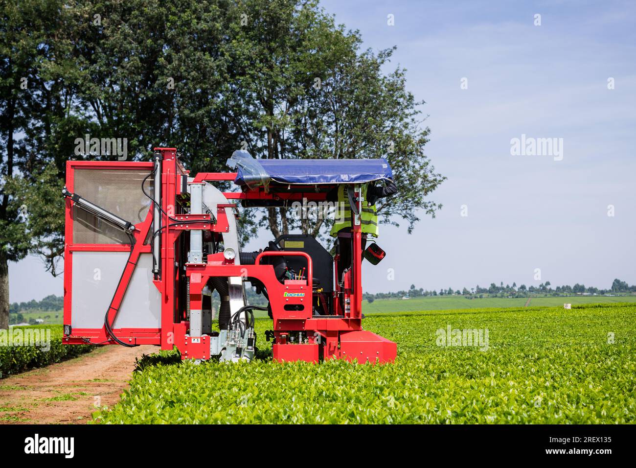 Ochiai Cutlery Manufacturing Tea Harvester Plucking Machine Stock Photo