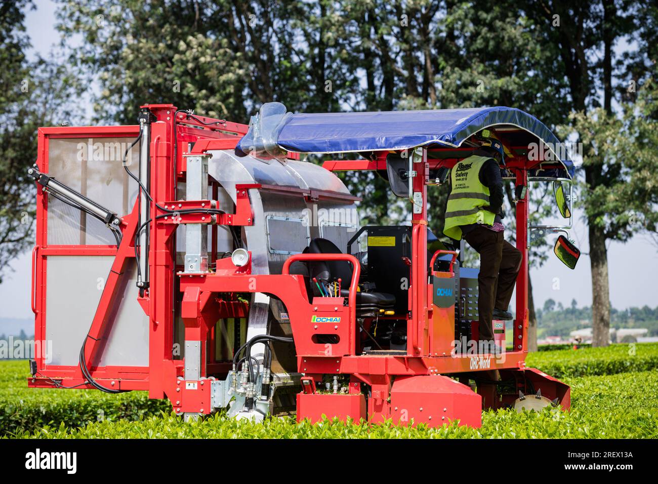 Ochiai Cutlery Manufacturing Tea Harvester Plucking Machine Stock Photo
