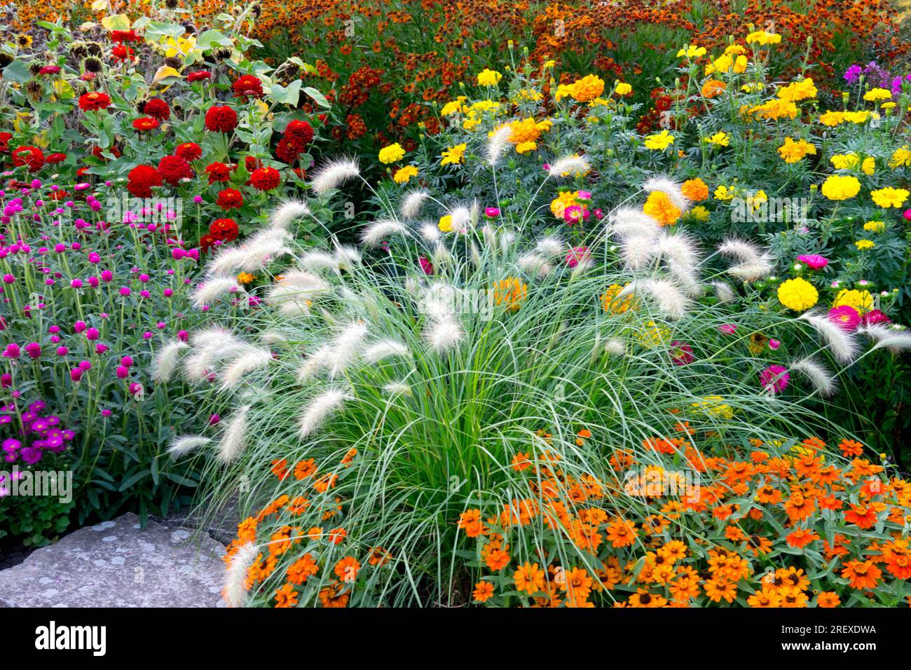 Herbaceous Garden Flower Bed Border Plants Colorful Edging Summer Blooming flowers Stock Photo