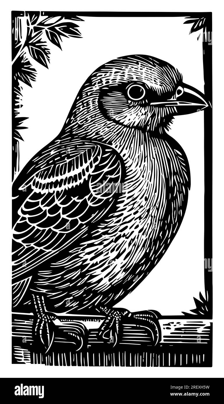 Linocut bird Black and White Stock Photos & Images Alamy