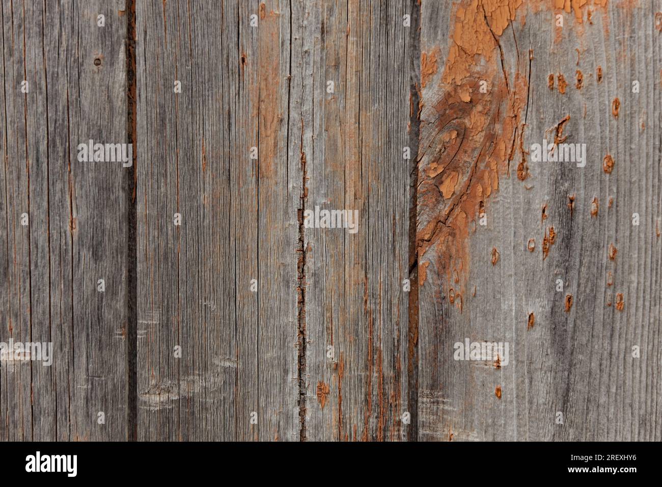 Texture of old wood. Grunge wooden surface with worn paint Stock Photo