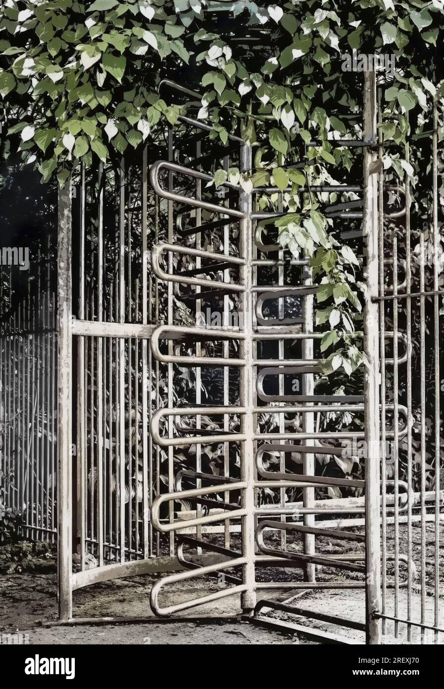 Colorised high-contrast image of tree branches over full-height turnstile gate. Stock Photo
