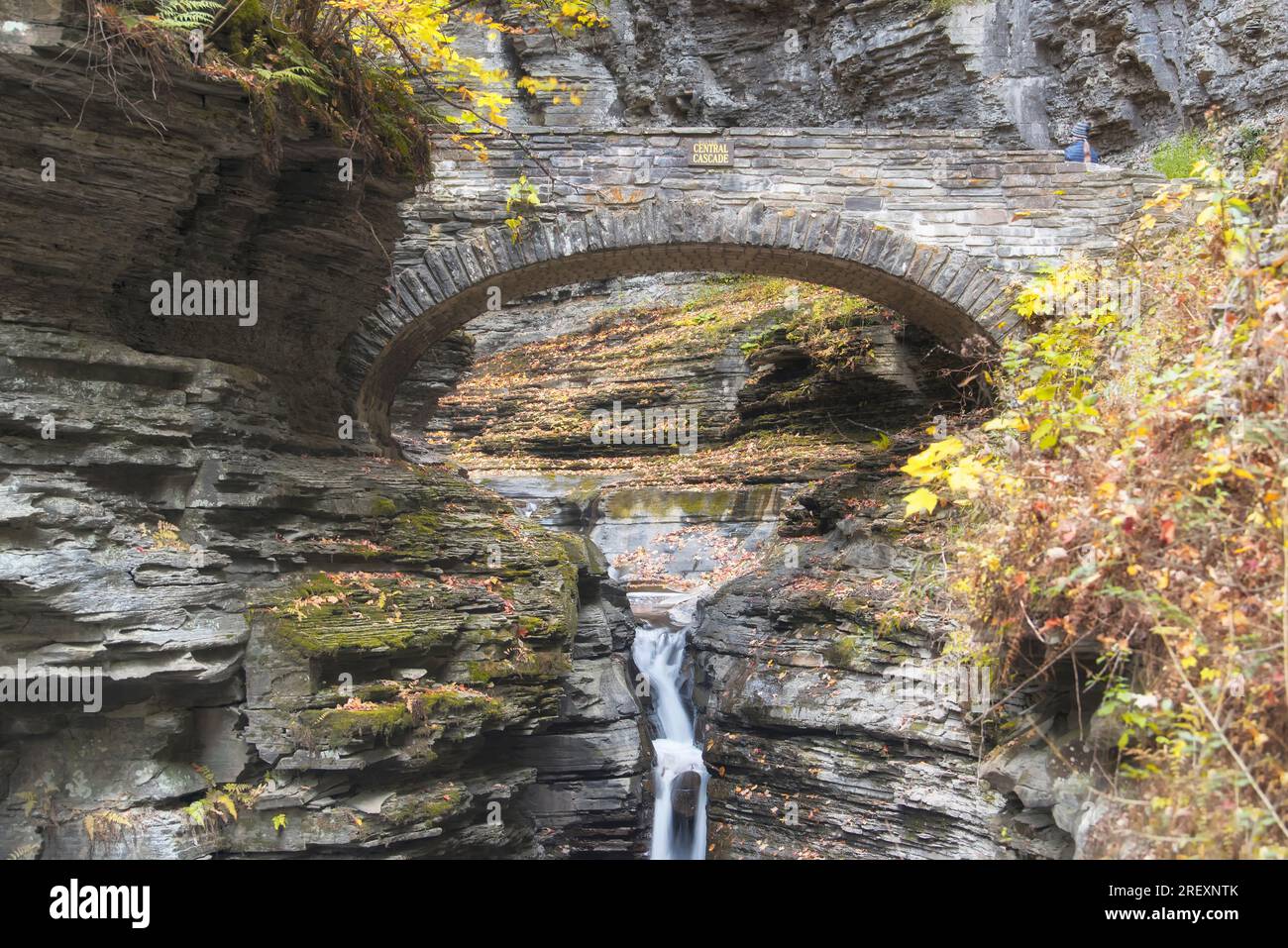 the central cascade within watkins glen state park in new york in
